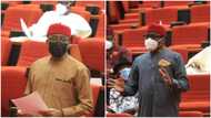 Nnamdi Kanu: 75 northern groups declare outlawed IPOB's leader wanted, place N100m bounty on him
