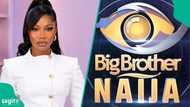 Reality star Tacha tells Big Brother Naija organisers what they need to do to win viewers back