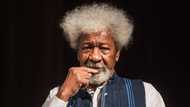 Soyinka's fatherly exhortation and the debacle of APC Muslim-Muslim ticket by Oluwafemi Popoola