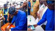 2023 presidential election: Tinubu defeats Atiku in Nuhu Ribadu's polling unit