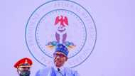 Full list of universities, polytechnics and Colleges of Education established by Buhari administration