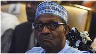 Nigeria's Total Debt Now N32.91trillion as Government Raises Borrowing Again