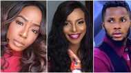 BBNaija: Shock as Tolani Baj, Wathoni and Brighto get evicted from the house