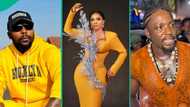 Iyabo Ojo vs VDM: Radiogad shares reason activist is after actress, fans agree, "I also said it"