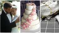 "24-hour marriage": Lady divorces her husband one day after their wedding for smashing cake on her face
