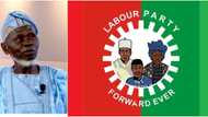 Labour Party suspends 3 senatorial candidates, others, gives reason