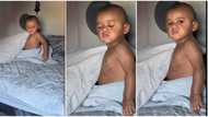"Enough is enough": Baby boy reacts with strong face as mum wakes him up early in the morning, video trends
