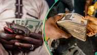 Naira nosedives against dollar as CBN reports rise in Nigeria’s external reserves