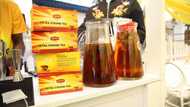 Lipton Hosts Sip and Paint Event with Toke Makinwa, Others to Launch the New Lipton Extra Strong Tea