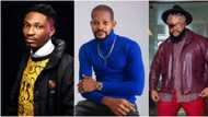 "Ignoring advice Was Efe & Whitemoney's biggest mistake": Uche Maduagwu speaks on BBN winners' music careers