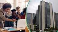 “To understand the economy better": CBN invites scholars to submit research papers and get publish