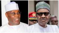 Nigeria, other African nations yet to see the worst effects of COVID-19 - Atiku says, lists what Buhari, others must do to save economy