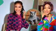 Tonto Dikeh complains about her white friend after they invited her to Zoom burial for their cat