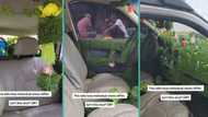 "Agric teacher don buy car": Man uses grass to redesign interior of new ride, video goes viral