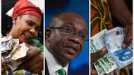 CBN speaks on new, old naira notes cash swap programme after supreme court order