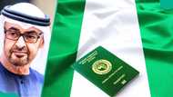 UAE opens 10-Year Golden Visa to Nigerians, global donors supporting humanitarian work