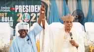 2023 presidency: Prominent southwest monarch endorses Tinubu’s ambition, says he'll start campaigning for him
