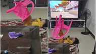 Pure talent: Amazing kid in yellow dress uses legs to rotate pink chair like magic, stunning video goes viral