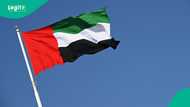 How to get the UAE unemployment compensation, ILOE