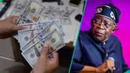 Tinubu borrows $11.36bn in 3 years as Nigeria’s debt rises sharply