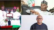 Bola Tinubu's victory: Top Nigerian lawyer speaks on way forward for Peter Obi, Atiku