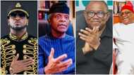 2023 elections: "Try placing Yemi Osinbajo against Orji Uzor Kalu," Peter Psquare tackles political tribalism