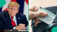 US lists 8 conditions foreign professionals with bachelor’s degrees need for permanent residence