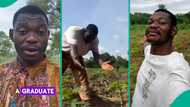 Graduate dumps certificate to become a farmer in village, video gets attention online