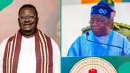"Even if President offends me": Antar Laniyan faces backlash over what he said about Tinubu