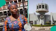Master’s student at University of Ibadan shows total amount she paid as school fees, posts receipt