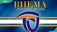 Rhema University courses and admission requirements: here's how to apply