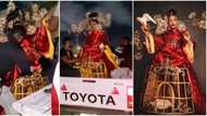 "Which kain wahala be this?" Ifu Ennada bundled into van with cage outfit and live chickens to movie premiere