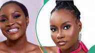 "Housemates were intimidated by me": BBNaija Ilebaye dragged for taunting haters over her victory