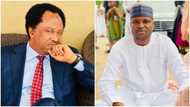 Shehu Sani reveals what may happen to Abba Kyari in prison
