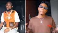 Davido set to finally release 'The Best' music video featuring Mayorkun on January 28