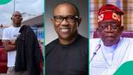"Zero chance”: Geh Geh explains why Peter Obi cannot defeat Tinubu in free And fair contest