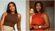 Hilda Baci: "Little rat," BBN's Angel drags male fan who shared Chef's sensual photo to congratulate her