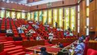 BREAKING: Senate approves establishment of more Law School campuses, list of states to benefit emerges