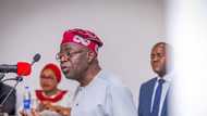 Tinubu finally reacts to US documents on alleged drug dealing, money laundering