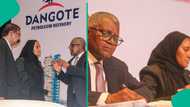 Aliko Dangote ya yi bayanin abin da ya sa zai saida hannun jari a matatarsa