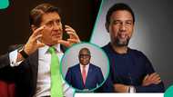 Top 10 highest-paid CEOs in Nigeria in 2026: Seplat boss leads with ₦3.9 billion annual pay