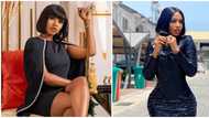Plastic surgery: I'll still enhance my body if I want to - BBNaija's Mercy