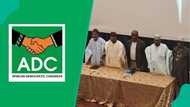 Ayodele mentions 2 powerful names who may emerge as ADC's VP candidate