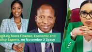 Nancy Nnaji, Paul Alaje & Chinenye Uwanaka, Join Legit.ng to Discuss Strategies for Naira Stability