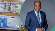 “Dollars are scarce in market”: Naira to appreciate as CBN pumps in over $1.3bn