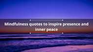 100+ mindfulness quotes to inspire presence and inner peace