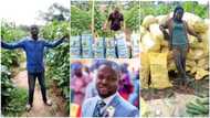 4 young Nigerians who are breaking grounds as farmers after no job, 1 of them dumped his certificate