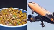 Uganda Airlines considering adding grasshoppers to its menu after passenger hawked them on plane