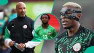 Tijani Babangida warns Eric Chelle of Osimhen mistake that cost Super Eagles World Cup