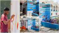 From medical doctor to painter: Young Nigerian man turns swimming pool area into 'paradise', wows many